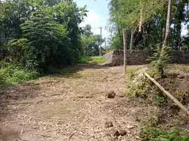 Tanah Sukoharjo murah  665m² muka 30m,  jln mobil masuk polokarto