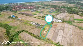 Uncover the Potential: Freehold Land in Kedungu, Bali