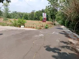 Tanah  murah 2.419m² muka 41m & 60m , jalan 5m,  Polokarto Sukoharjo