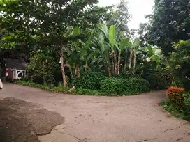 Lokasi bagus sudah banyak perumahan, jual cepat