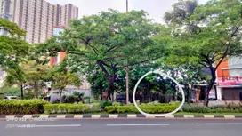 1687. Dijual Tanah MERR Dr Ir Soekarno Surabaya