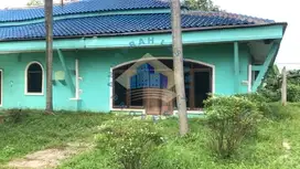 JUAL TANAH MURAH DI GUNUNG SINDUR BOGOR JAWA BARAT