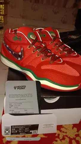 Sepatu Basket Nike Air Zoom GT