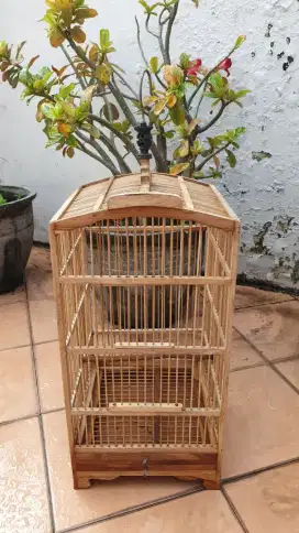 SANGKAR KANDANG BURUNG KONDISI MULUS BARU