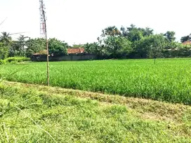 INVESTASI TANAH CIKAMPEK