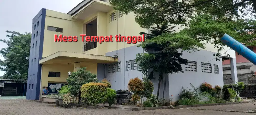 LOKER DRIVER PENGEMUDI GRATIS BIAYA ADMIN DAN PROSES CEPAT