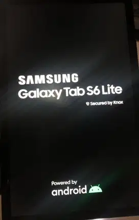 Samsung Tab S6 Lite