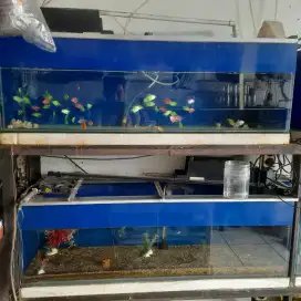 Jual Akuarium Aquarium panjang 120cm kaca full 8mm