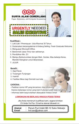 SALES EXECUTIVE