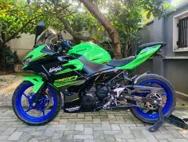 Kawasaki ninja 250 krt
