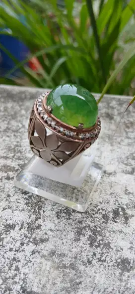 Cincin indogress Lumut