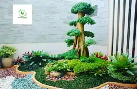 Tukang taman semarang hijau