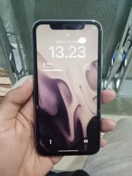 iPhone 11 64 GB inter