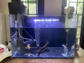 Dijual 1 Set Lengkap Akuarium Bekas