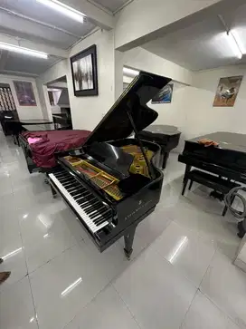 Grand Piano Steinway & Sons Type A Premium Import Quality Original