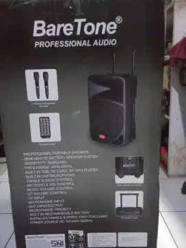 BARETONE speker aktif + Portable BT audio 250 w