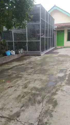 Di jual aviary berikut tanamanya