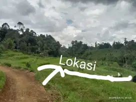 Dijual sawah produktif dengan luas sawah 32-tumbak/450-m². lok-ciwidey