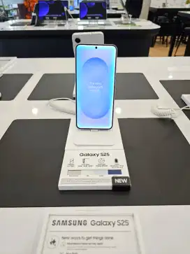 Samsung Galaxy S25