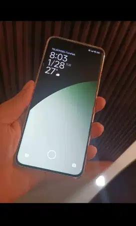 Flagship Xiaomi Civi 4 Pro (Xiaomi 14 Lite)