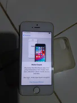 Iponhe 5s 16 mentok gak mau masuk menu