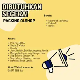 Lowongan Pekerjaan Packing Online Shop