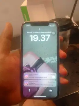iPhone 11 ex inter 256GB