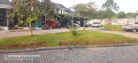 Jasa Potong Rumput Rumah,Kantor,Pabrik,Lapangan dll