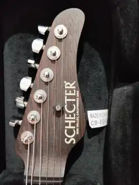 Gitar Schecter nick johnson signature staratocaster atomic green