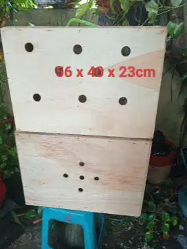 Box untuk kiriman ayam luar kota dll