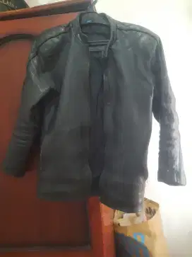 jaket kulit asli orang dewasa