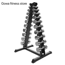 Dumbbell Chrome + Rak Segitiga 1 - 10 kg