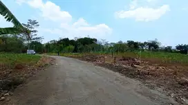 Tanah Bogor Dekat Sirkuit Sentul Free SHM, Sale Idul Fitri