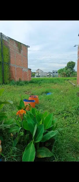 JUAL TANAH 2 KAVLING DI BLIMBING MALANG STRATEGIS