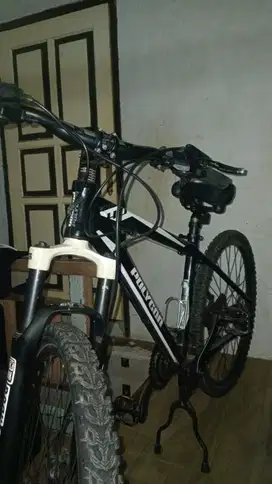 Polygon Xtrada 4