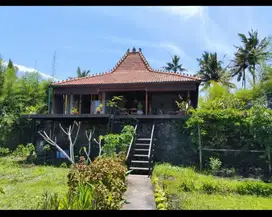 Dijual rumah di pejeng kelod,ubud view jungle&rice field termurah