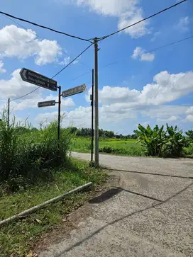 Landplot / Tanah Kavling For Sale in Kedungu Tabanan