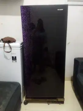Kulkas Sharp satu pintu