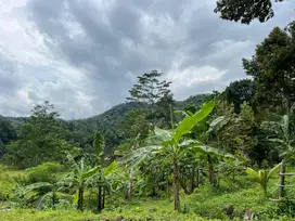 Tanah View Cantik Cocok Dibangun Villa/Glamping Kemuning Karanganyar