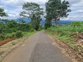 JUAL CEPAT TANAH DI CICURUG SUKABUMI (DEKAT PASAR CICURUG) NEGO