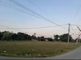 DIJUAL SEBIDANG TANAH TUBAN SUGIHWARAS  JENU)