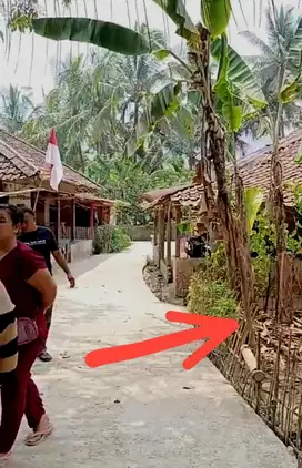 Dijual Tanah Pekarangan 182m² Jonggol Bogor Timur