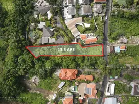 SPACIOUS LAND WITH DIVERSE VIEWS IN TUMBAK BAYUH, PERERENAN