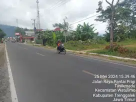 JUAL CEPAT TANAH DI JALUR PANTAI PRIGI ( BU )