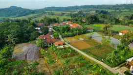 Dijual Murah Tanah Ladang dan Kebun 1300 m2 di Darangdan Purwakarta