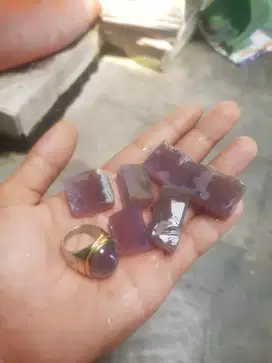 Bacan obi Kelo ungu