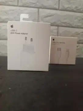Casan iPhone 25 watt