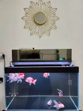 AQUARIUM RIMLESS 60CM