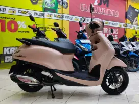 New grand Filano Neo th 2024