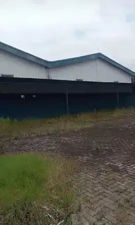 di sewakan gudang cileungsi bogor